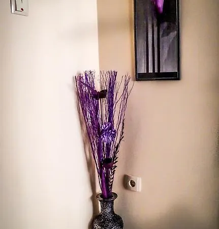 Meridi Priseltsi